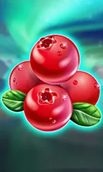 Winterberries